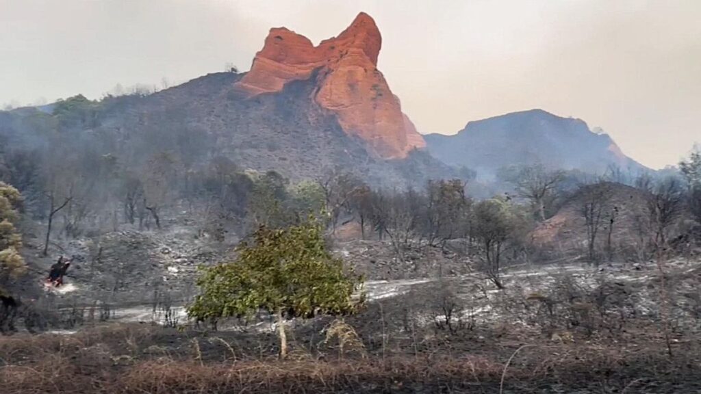 La Economía Social, aliada en la recuperación de los territorios afectados por los incendios