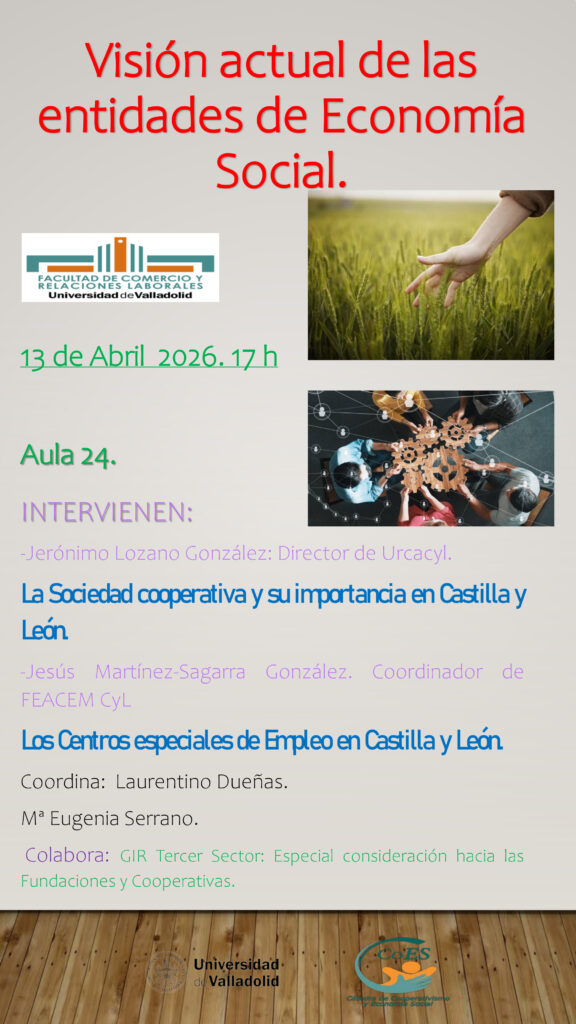 Visión actual de las entidades de Economía Social en Castilla y León